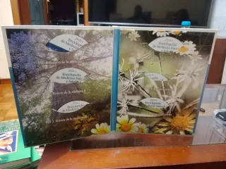 Enciclopedia de medicina natural y salud