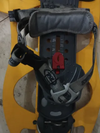 Raquetas de esquiar para la nieve