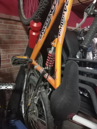 Bicicleta Montagna 24 Cobra Arancione