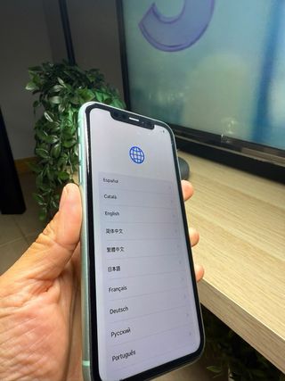 iPhone 11 64GB Verde