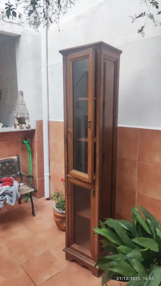 Vitrina de madera y cristal