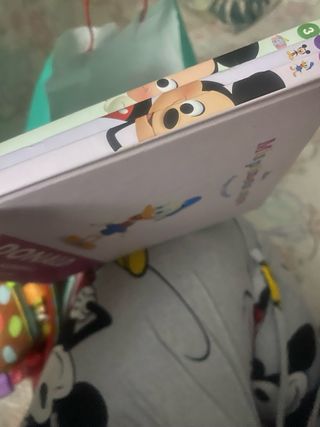 Lote de 2 libros de tela + varios libros