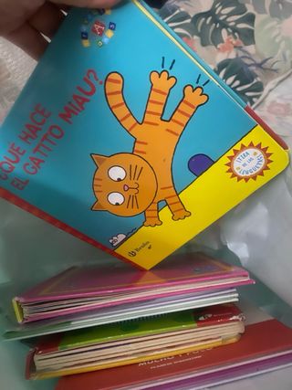 Lote de 2 libros de tela + varios libros