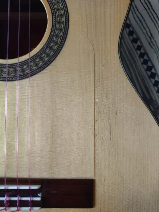 Guitarra Española Flamenca Autoamplificada