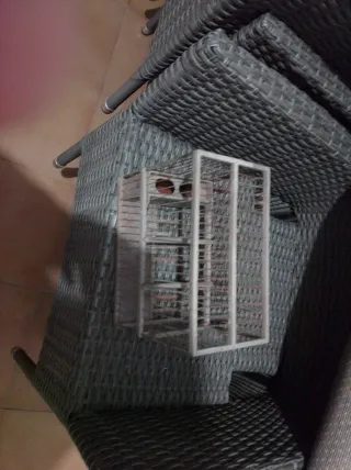 Jaula para jilgueros