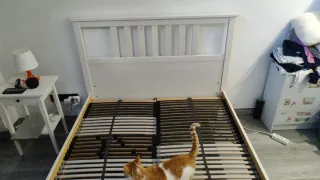 Estructura de cama IKEA madera blanca