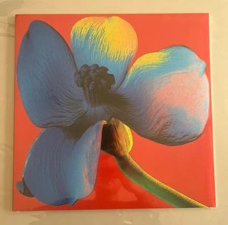 NAYT - LETTERA Q - 2024 - LP ROSSO Trasparente