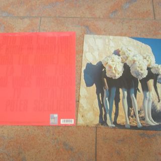 NAYT - LETTERA Q - 2024 - LP ROSSO Trasparente