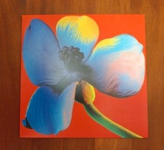 NAYT - LETTERA Q - 2024 - LP ROSSO Trasparente