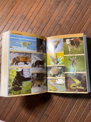 Dico: diccionario didáctico de francés : francé...