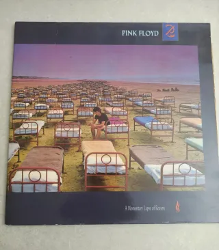 Pink Floyd A Momentary Lapse of Reason Vinilo