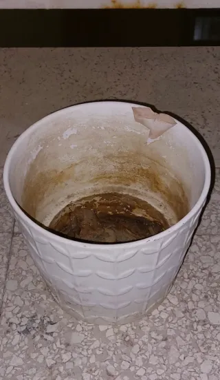 Set 4 vasi e vari sottovasi per piante