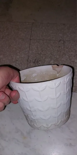 Set 4 vasi e vari sottovasi per piante