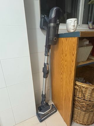 Aspiradora Rowenta X-Pert