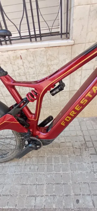 Bici eléctrica Forestal Syrion 2024