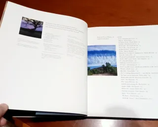 Between Heaven and Texas