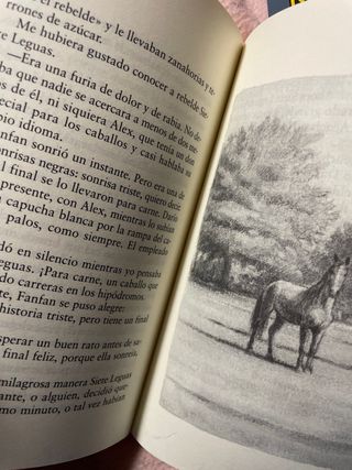 Los caballos de mi tío (Sopa de Libros / Soup o...