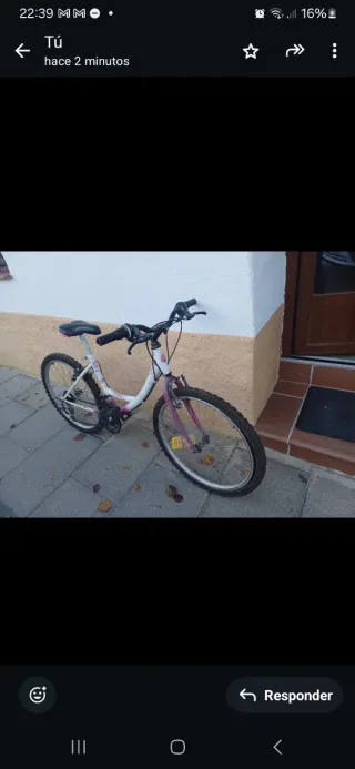 Bicicleta infantil niña