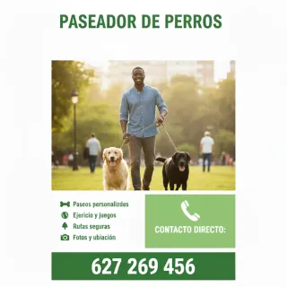Paseos para perros