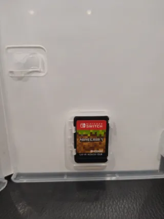 Minecraft Nintendo Switch