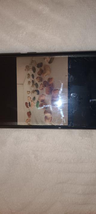 FIGURAS BELEN RESERVADAS PARA FRANCISCO C