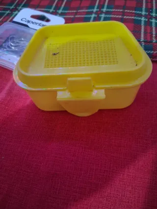 Kit pesca: filo, ami, piombi, galleggianti