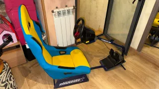 Playseats Silla Gaming Volante y Pedales