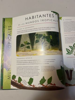 Planeta verde (Ecosfera) (Spanish Edition)
