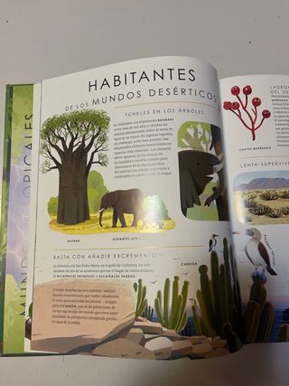 Planeta verde (Ecosfera) (Spanish Edition)