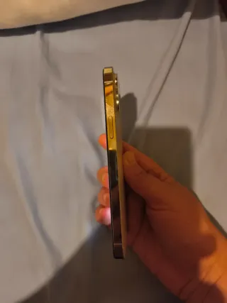 iPhone 12 Pro Max 256GB Gris Plata