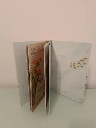 El gran libro de los bichos (Spanish Edition)