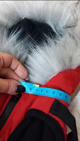 Giubbotto per cani DUSMBABY rosso con pelo