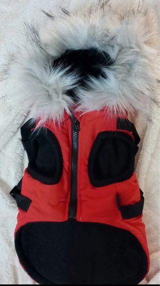 Giubbotto per cani DUSMBABY rosso con pelo