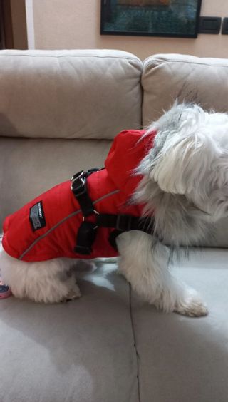 Giubbotto per cani DUSMBABY rosso con pelo