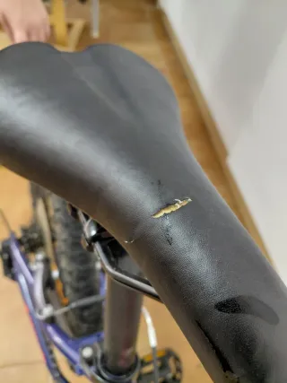 Bici Infantil Conor 20-22'' Azul/Rojo