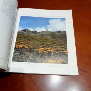 Atlas de las aves nidificantes en Madríd