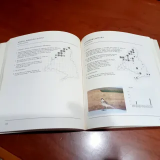 Atlas de las aves nidificantes en Madríd