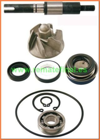Kit reparación bomba de agua SH Dylan Ps Nes