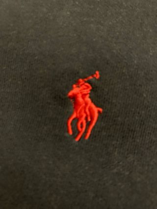 Sudadera Polo Ralph Lauren Azul