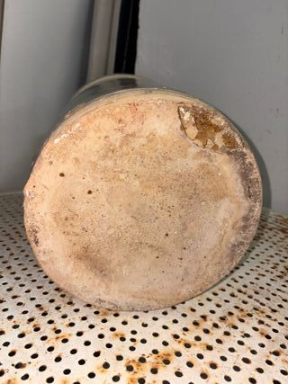 Vaso Ceramica Pugliese con Manici