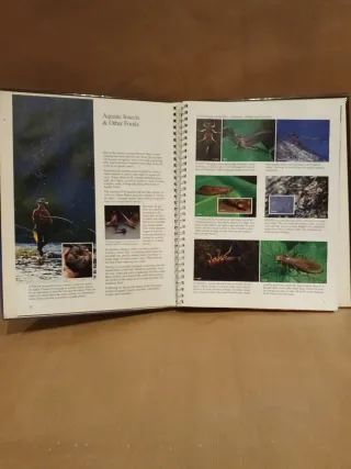 Libro The Art of Fly Tying