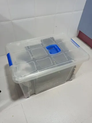 Circuito Scalextric 4 carriles (óvalo tipo Nascar)