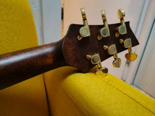 Cort Fran Gambale Luxe Guitarra Acústica