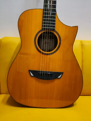 Cort Fran Gambale Luxe Guitarra Acústica