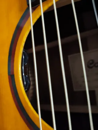 Cort Fran Gambale Luxe Guitarra Acústica