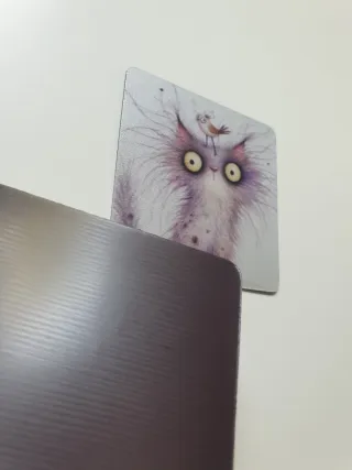 2 Imanes Decorativos Gatos Divertidos