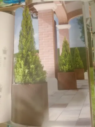 Maceteros muro