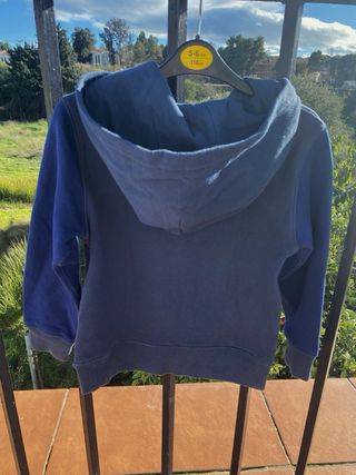 Sudadera Ralph Lauren Oso Polar Azul Niños