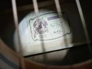 Framus Jumbo FJ-14MV Guitarra Acústica