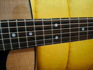 Framus Jumbo FJ-14MV Guitarra Acústica
